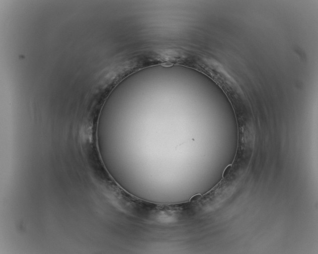 X0000112400368200908211120