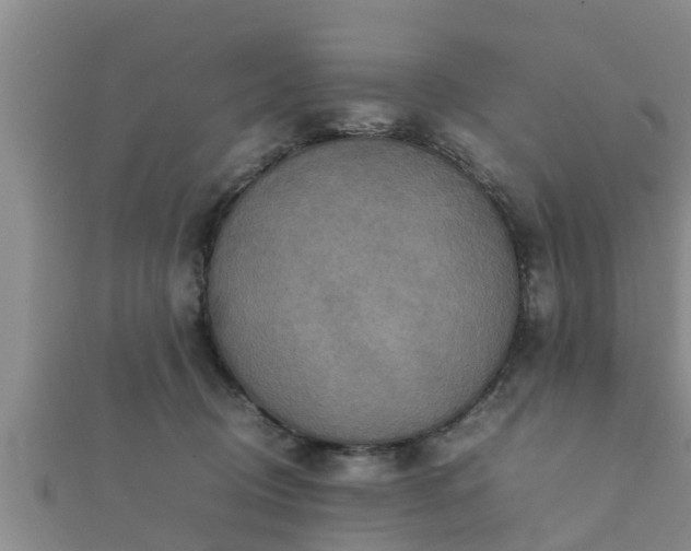 X0000112400370200908211120