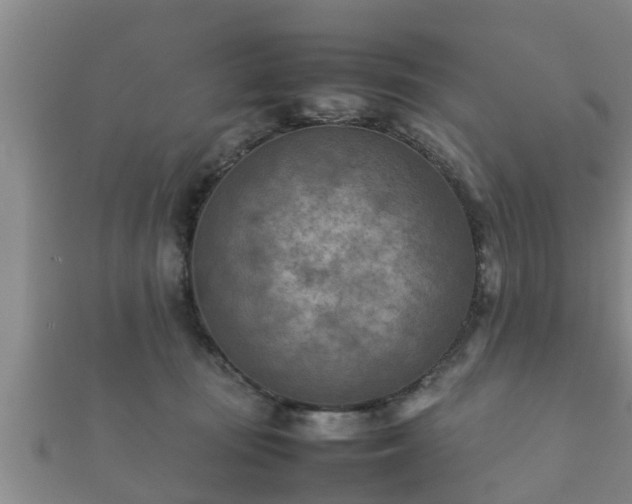 X0000112400371200908211120