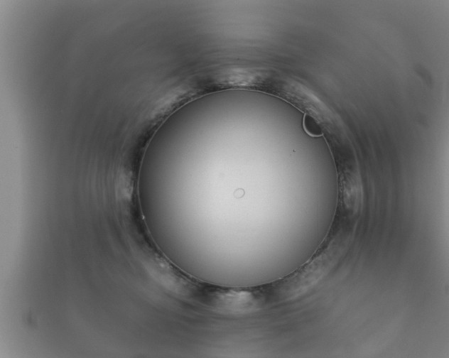 X0000112400374200908211120