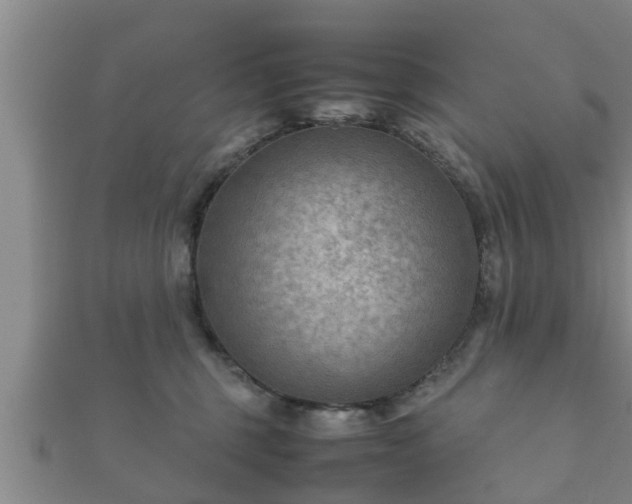 X0000112400375200908211121