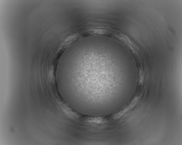 X0000112400377200908211121