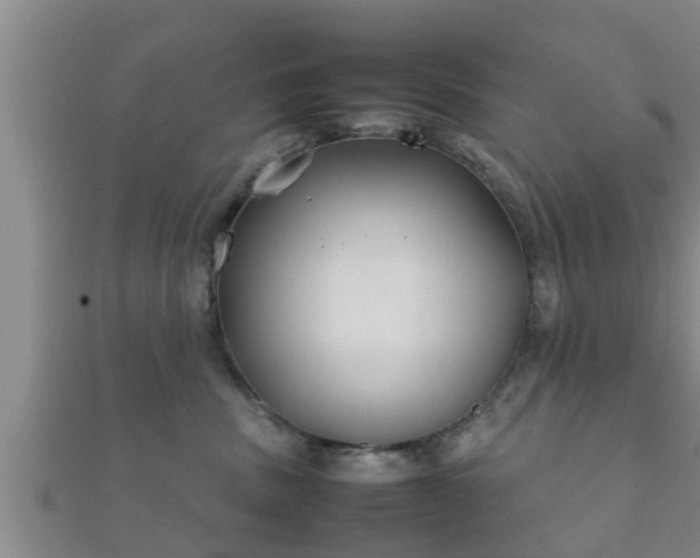 X0000112400379200908211121