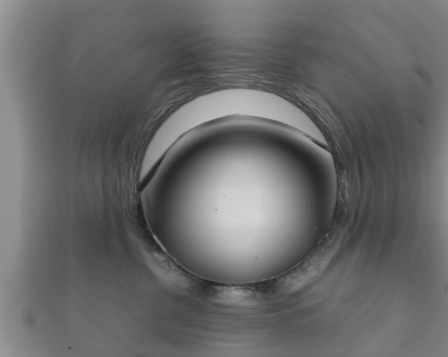 X0000112400380200908211121