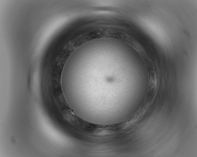 X0000112400381200908211121