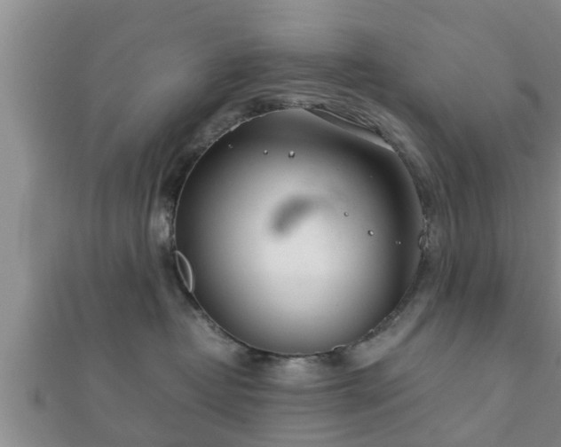 X0000112400382200908211121