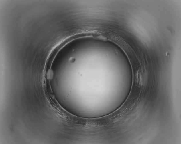 X0000112400388200908211120