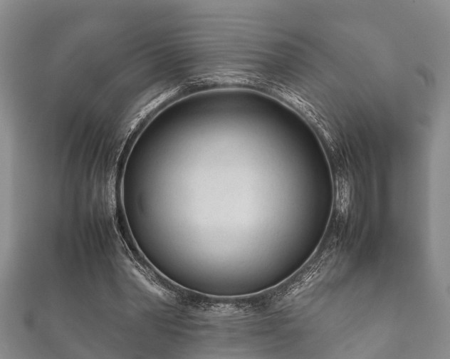 X0000112400390200908211120