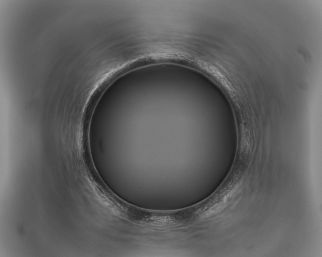 X0000112400391200908211120