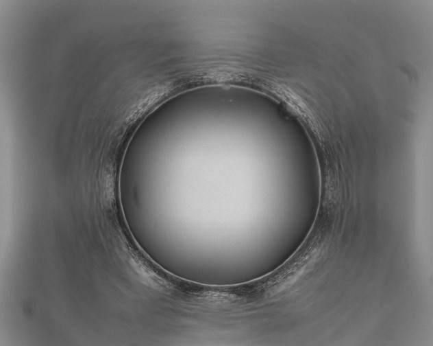X0000112400393200908211120