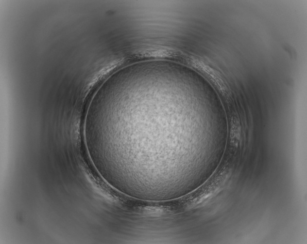 X0000112400394200908211120