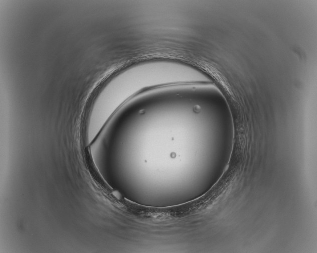 X0000112400395200908211120