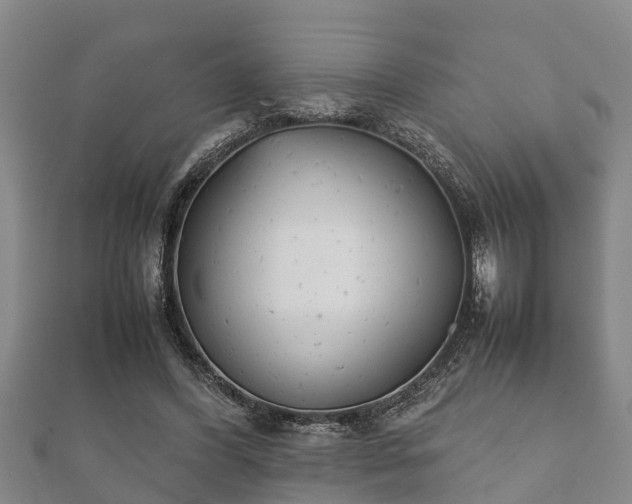 X0000112400396200908211120