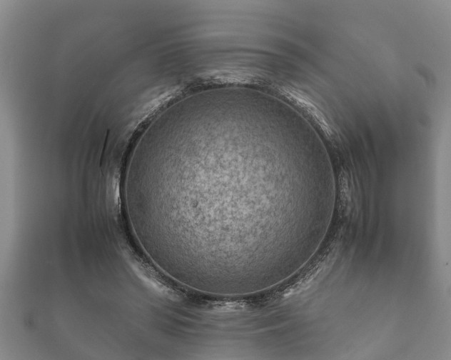 X0000112400398200908211120