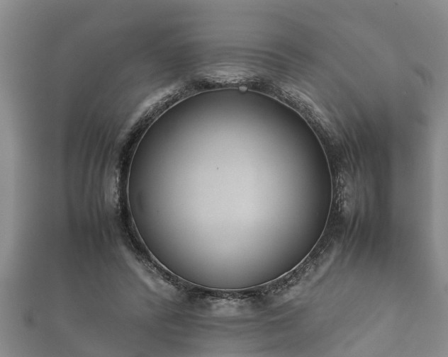 X0000112400400200908211120