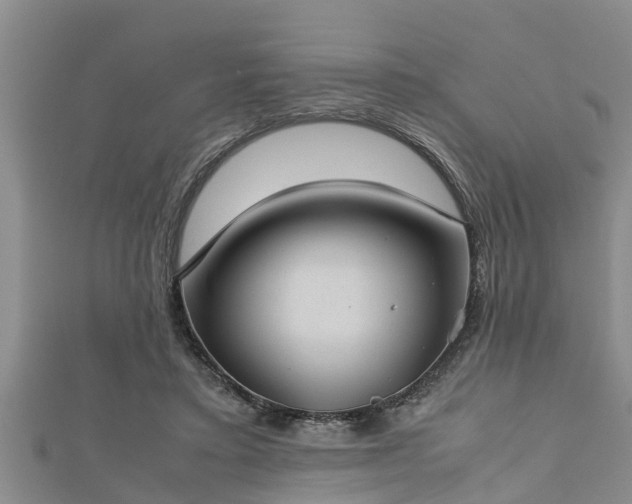 X0000112400403200908211120