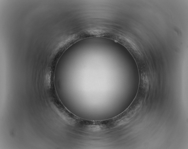 X0000112400404200908211120