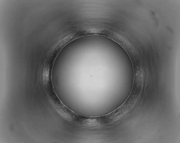 X0000112400406200908211120