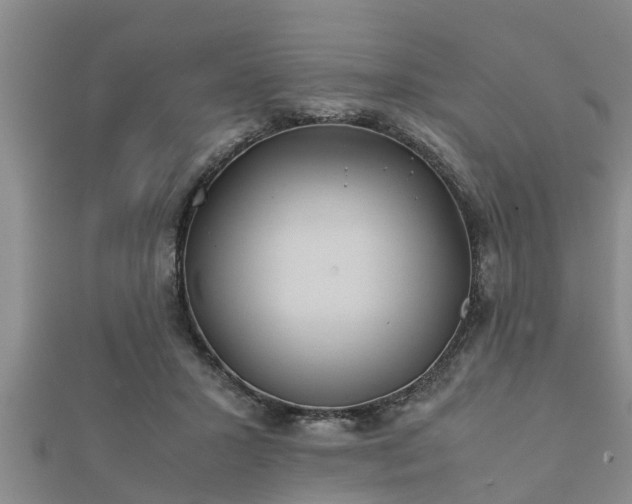 X0000112400407200908211120