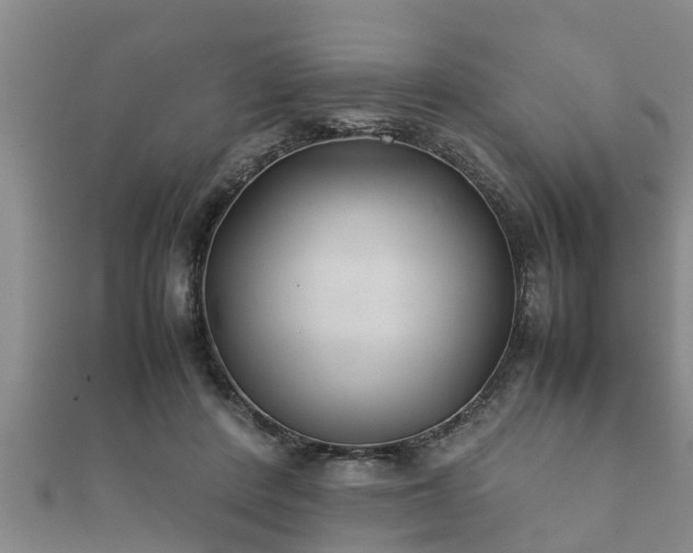 X0000112400408200908211120