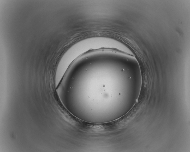 X0000112400409200908211120