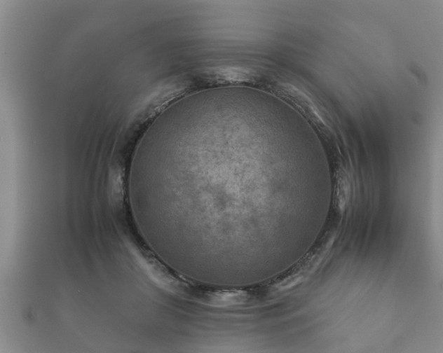 X0000112400410200908211120