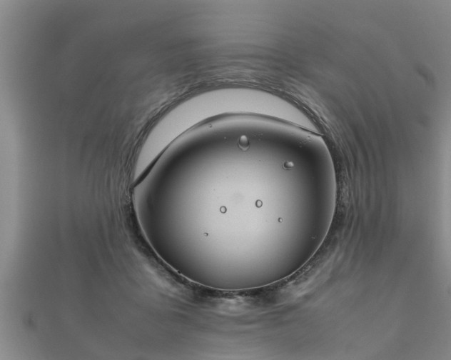 X0000112400411200908211120