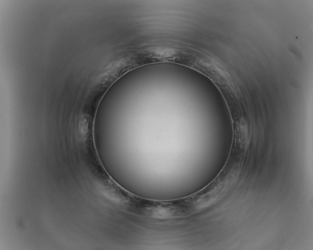 X0000112400412200908211119