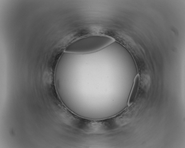 X0000112400413200908211119