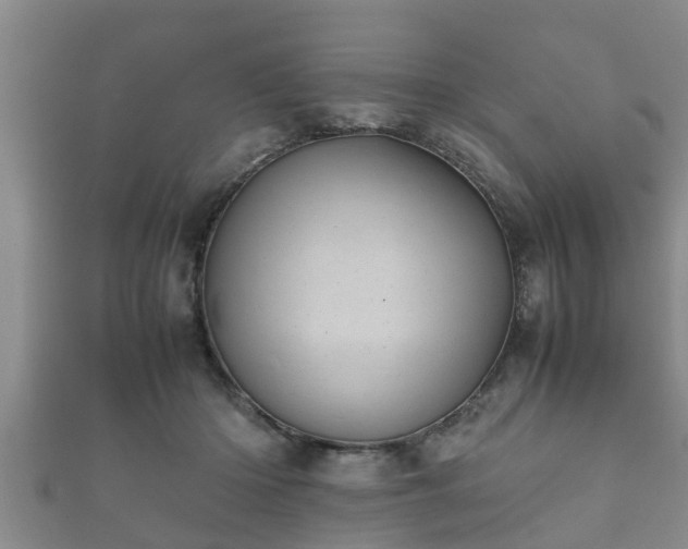 X0000112400414200908211119
