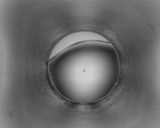 X0000112400415200908211119
