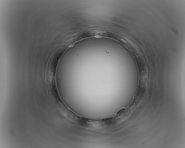 X0000112400417200908211119
