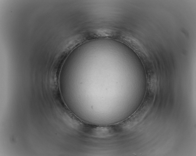 X0000112400418200908211119