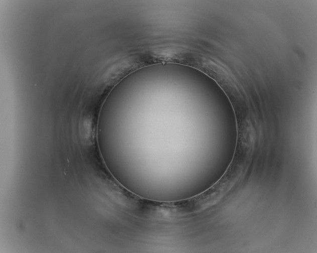 X0000112400420200908211119