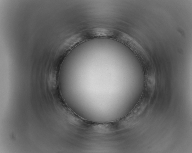 X0000112400422200908211119