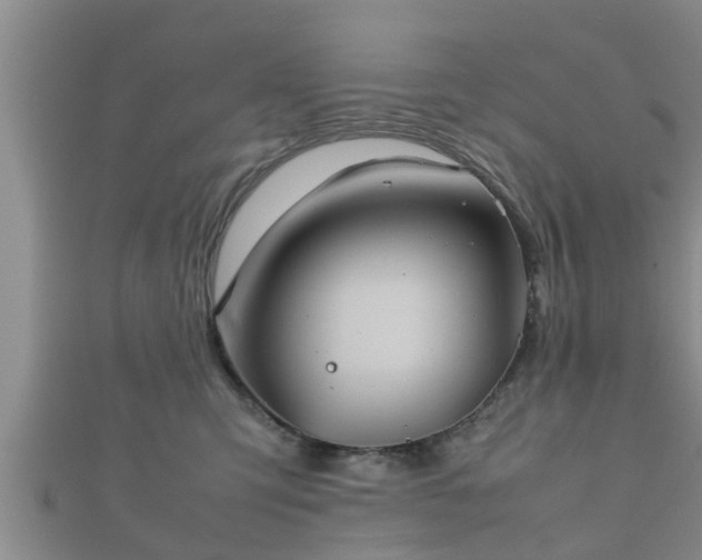 X0000112400423200908211119