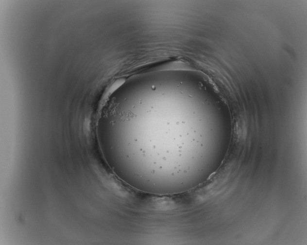 X0000112400424200908211119