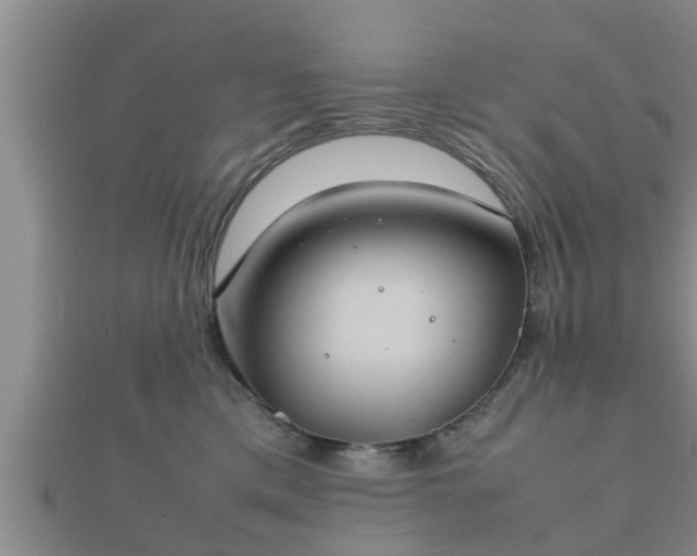 X0000112400425200908211119