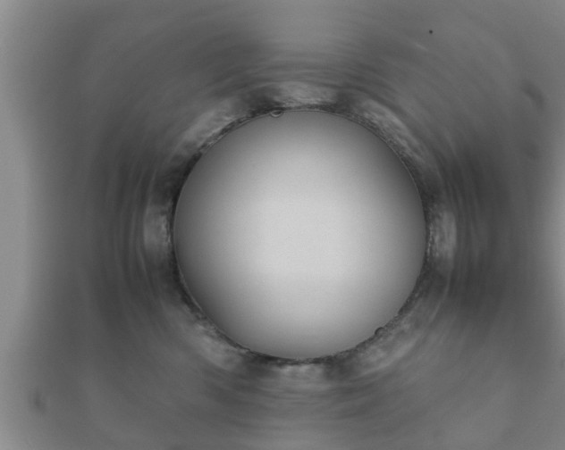 X0000112400426200908211119