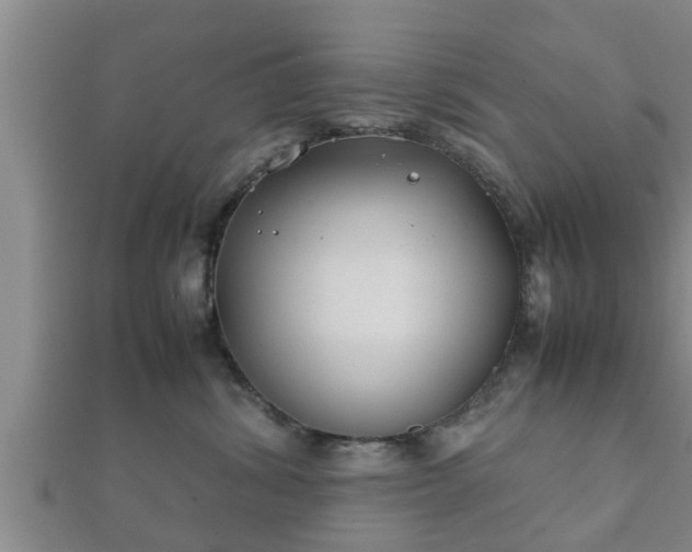 X0000112400428200908211119