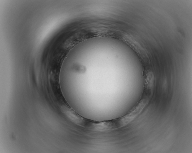 X0000112400430200908211119