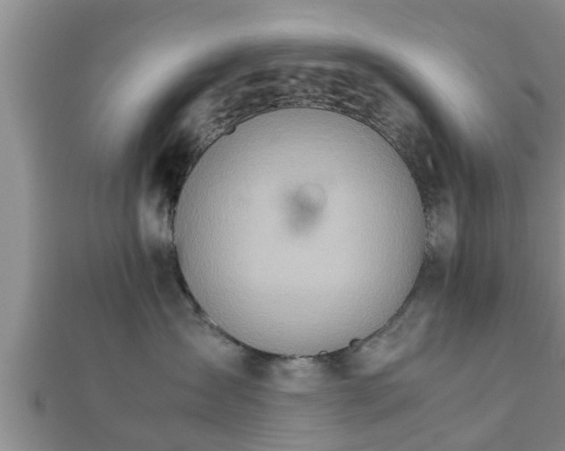 X0000112400431200908211119