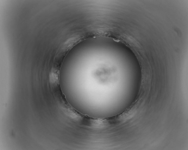 X0000112400432200908211119
