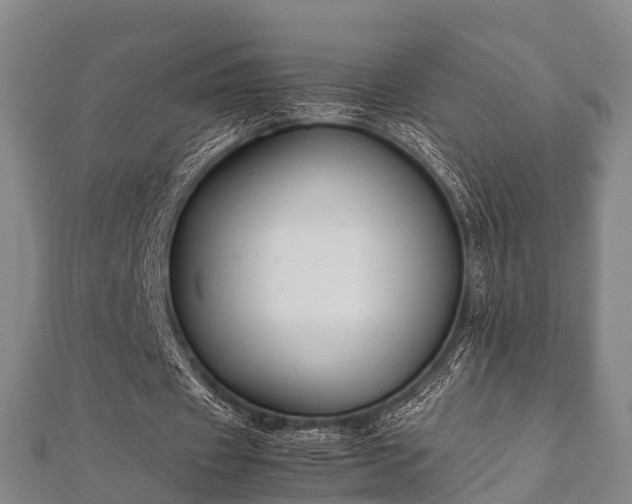 X0000112400433200908211119