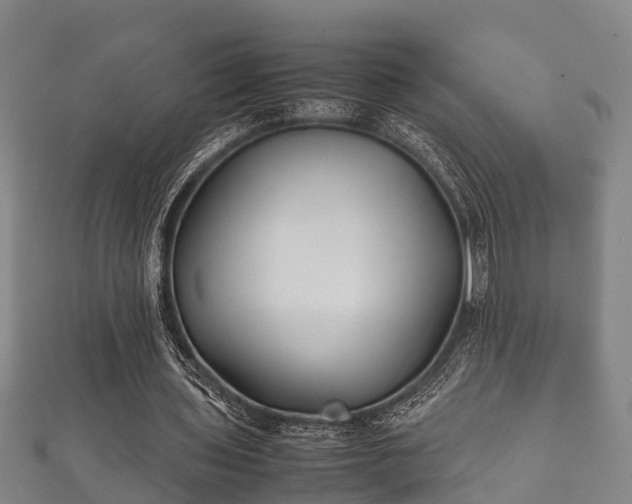 X0000112400435200908211119