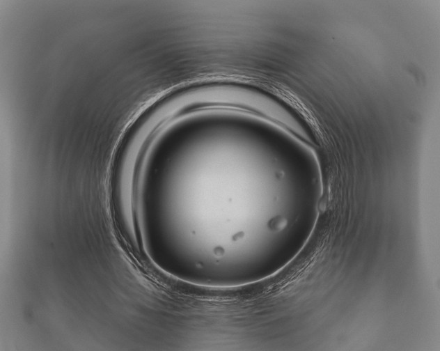 X0000112400436200908211119