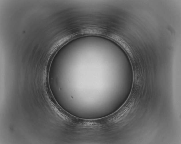 X0000112400437200908211119