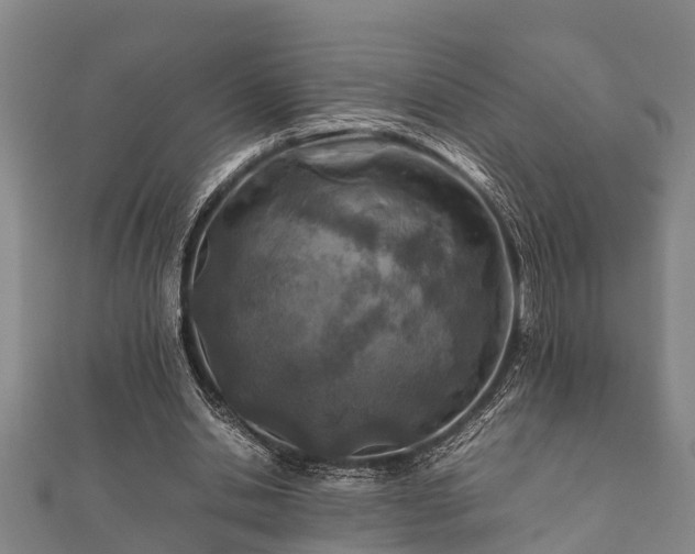 X0000112400438200908211119