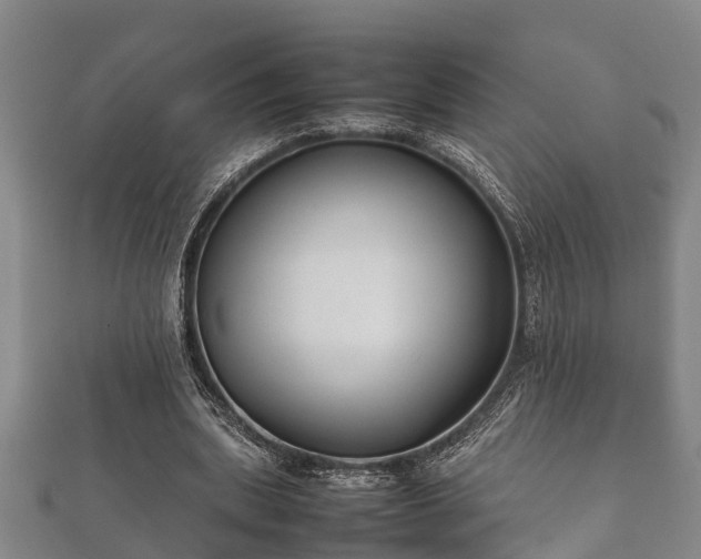 X0000112400439200908211119
