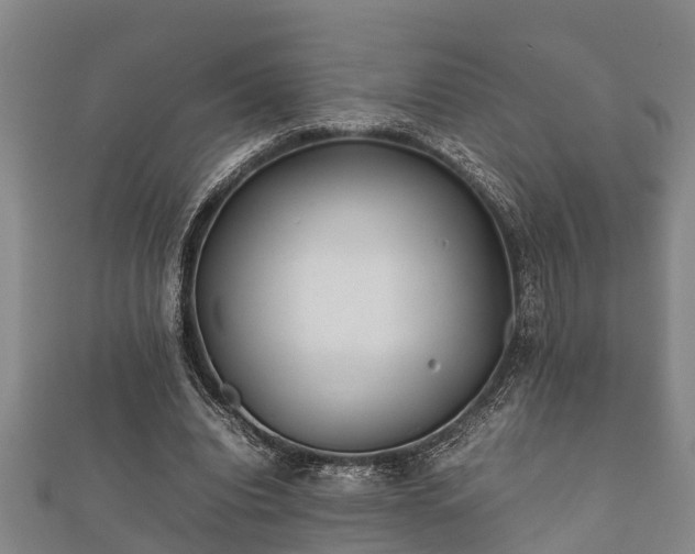X0000112400440200908211119